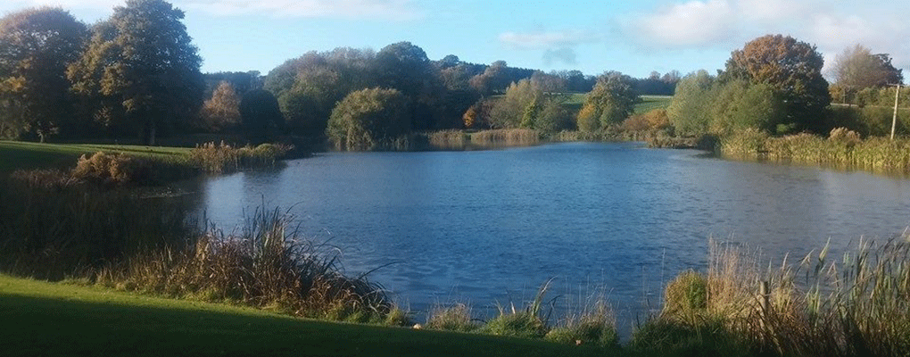 Kingfisher Trout Lake