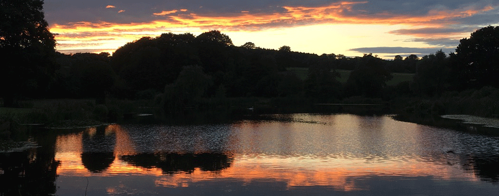 Kingfisher Trout Lake