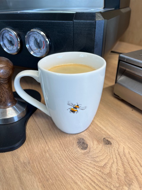 cafe15.jpg